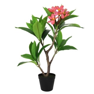 2.25ft Fuchsia Artificial Plumeria Flower Tree Tropical Plant in Black Pot - 27" H x 20" W x 17" DP