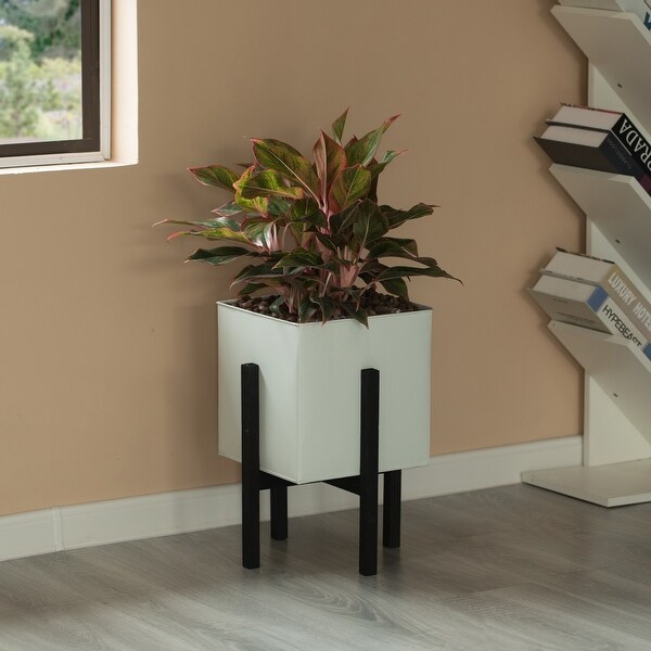 Indoor and Outdoor White Iron Planting Box with Black Wooden Frame