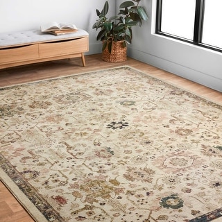 Alexander Home Jewel Shabby-Chic Oriental Area Rug