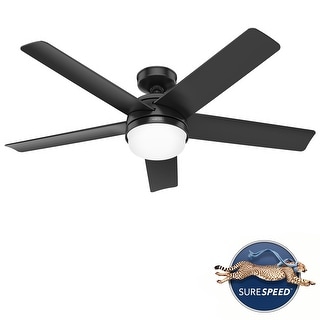 Hunter 52" Yuma Outdoor Ceiling Fan with LED Light, Handheld Remote, Damp Rated