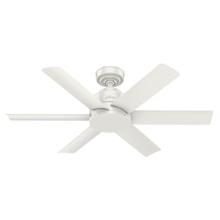 Hunter 44" Kennicott Outdoor Ceiling Fan with Wall Control, Damp Rated - Industrial, Contemporary, Transitional