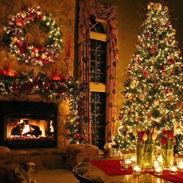 66ft 200 LED String Lights Indoor Outdoor - Yellow