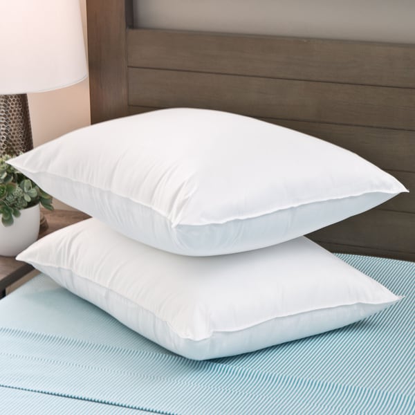 Cozy Classics MicronOne Pillow Protectors (Set of 2)