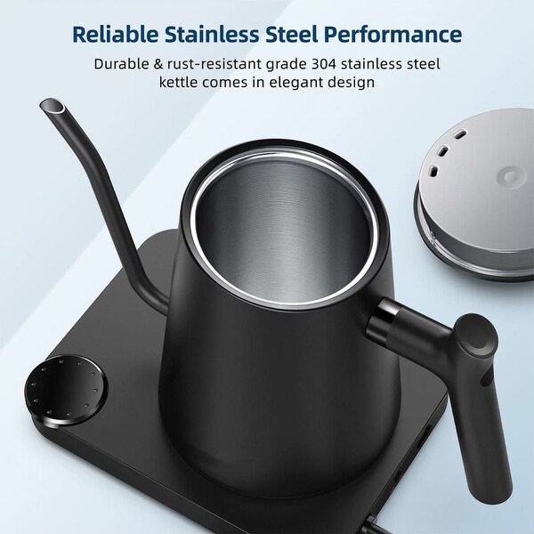 Gooseneck Electric Pour-over Kettle, Temperature Variable Stainless Steel Kettle