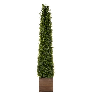 48-inch Regency Spring Boxwood Obelisk Tree in Wood Box - 11" W x 11"D x 48"H