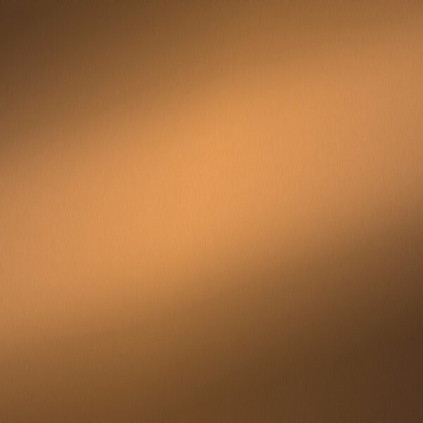 SEI Furniture Wilhelmina Transitional Gold Wall Mirror