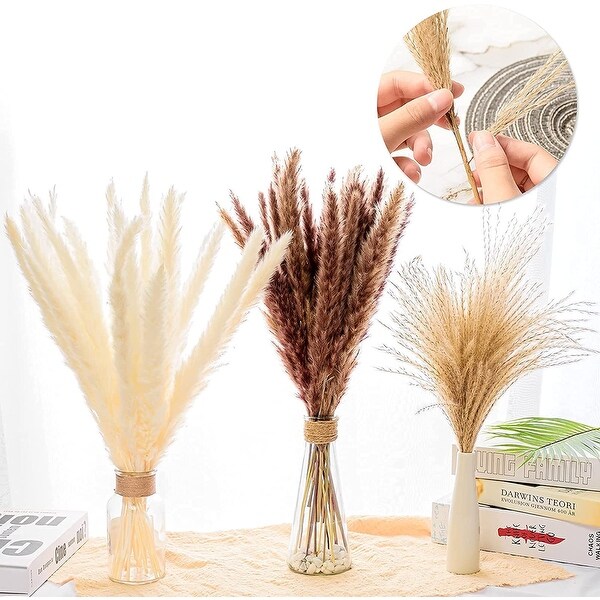 Natural Dried Pampas Grass for Flower Arrangements Wedding