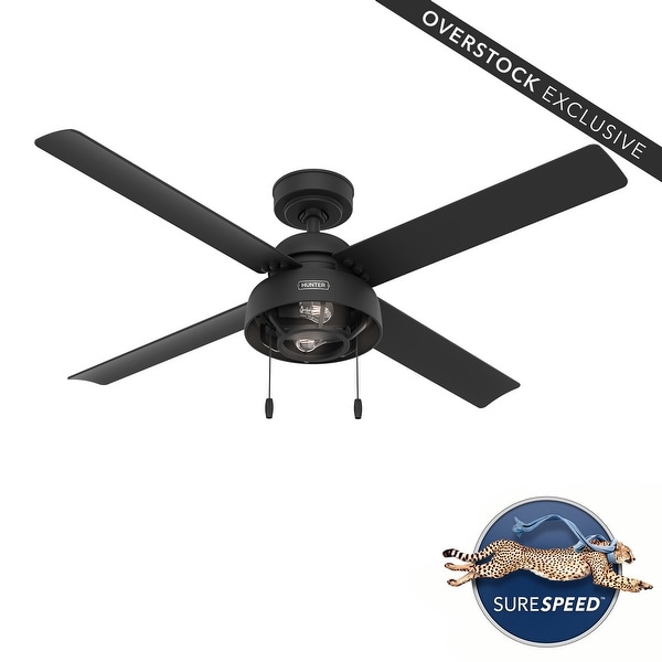 Hunter 52" Autumn Breeze Outdoor Ceiling Fan w/ LED Light Kit, Pull Chain, Damp-Rated - Industrial, Farmhouse - Exclusive!