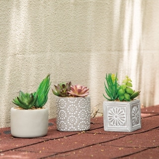 Glitzhome Set of 3 Artificial Succulent Plants in Cement Pots