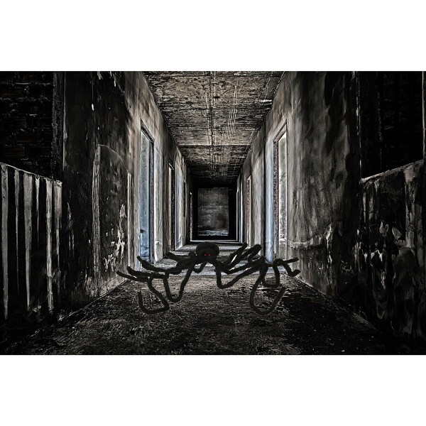 Haunted Hill Farm 6-ft. Black Spider, Indoor/Covered Outdoor Halloween Decoration, Poseable, Lucifer