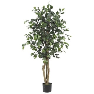 4' Ficus Silk Tree - 48"H x 30"W x 30"D
