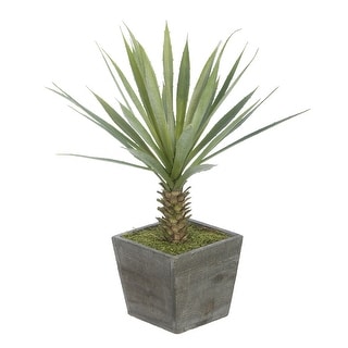 Faux Baby Yucca in Washed Wood Cube Planter
