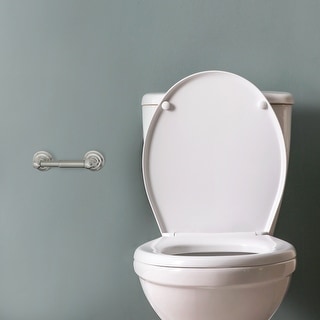 Design House 538363 Calisto Toilet Paper Holder Satin Nickel - Satin Nickel