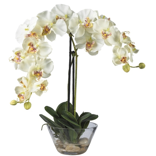 Phalaenopsis w/Glass Vase Silk Flower Arrangement - 18