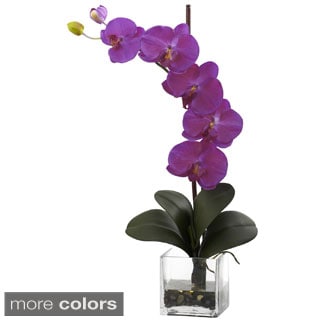 Giant Phal Orchid with Vase Arrangement