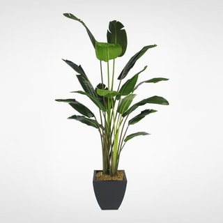 8' Artificial Birds of Paradise Plant in a Black Metal Pot