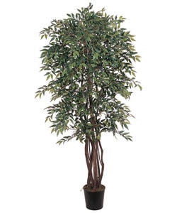 Smilax 6-foot Silk Tree