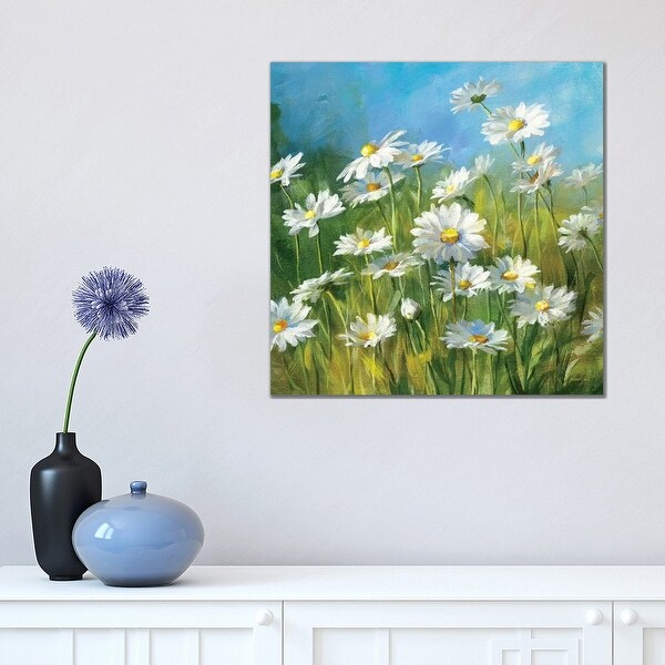 iCanvas "Summer Field II" by Danhui Nai Canvas Print