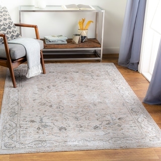 Artistic Weavers Zerke Distressed Traditional Area Rug