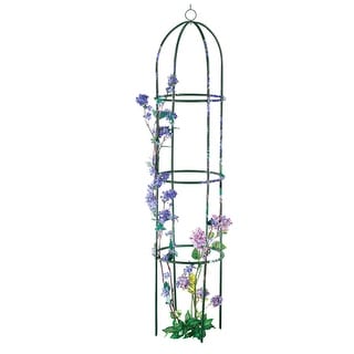 6ft Garden Plant Trellis