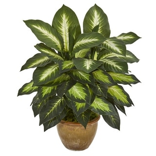 Dieffenbachia Artificial Plant in Ceramic Planter - 18"