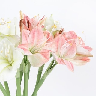 FloralGoods Clivia Orchid Stem 22" Tall