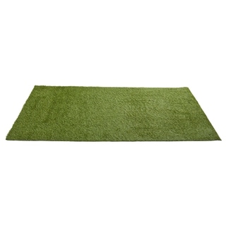 4' x 8' Artificial Professional Grass Turf Carpet UV Resistant (Indoor/Outdoor)