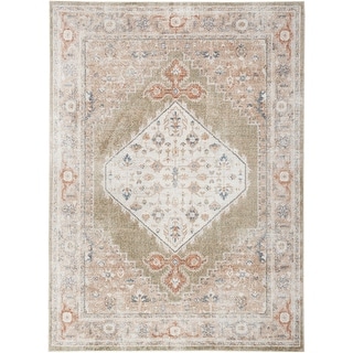 Nourison Astra Machine Washable Distressed Area Rug