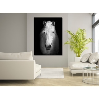 White Horse Face Photography Canvas Art
