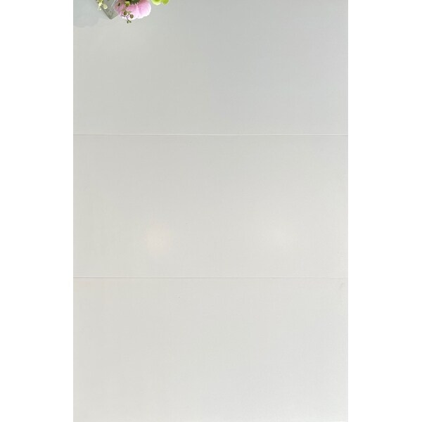 Blanca 12 x 24 Ceramic Tile for Wall & Floor in Super White