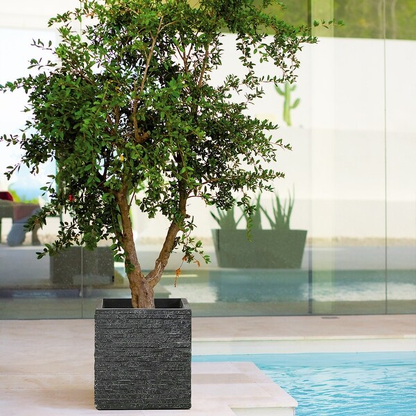Square Grey MgO Planter, Indoor and Outdoor