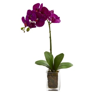 24" Orchid Phalaenopsis Artificial Arrangement in Vase