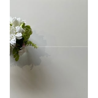 Blanca 12 x 24 Ceramic Tile for Wall & Floor in Super White