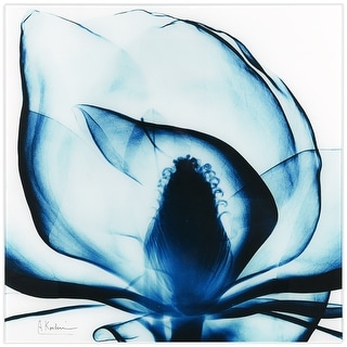 Empire Art Direct "Blue Magnolia x-ray" Frameless Floating Glass Panel Art - Blue