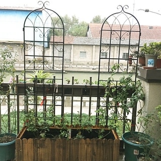 2 Pack Metal Garden Trellis Rustproof Trellis