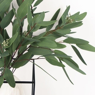 FloralGoods Artificial Eucalyptus Long Oval Leaf Stem 32" Tall