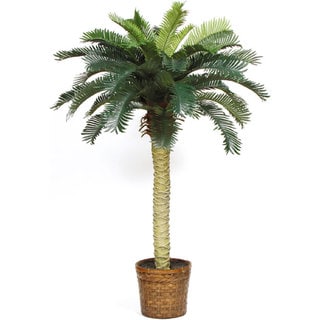 Sago Palm Silk Tree 4-foot - Green