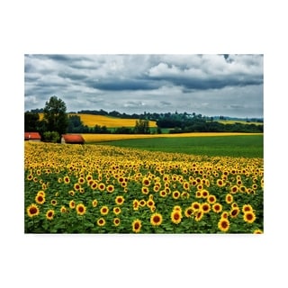 Colby Chester 'Pastoral Countryside Iv' Canvas Art