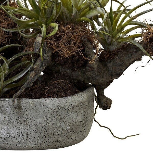 22" Orchid and Succulent Artificial Garden in Driftwood Vase