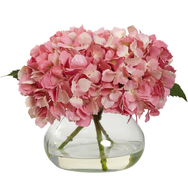 Blooming Hydrangea with Vase