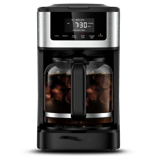 12 Cup Programmable Hot & Iced Coffeemaker, Stainless Steel