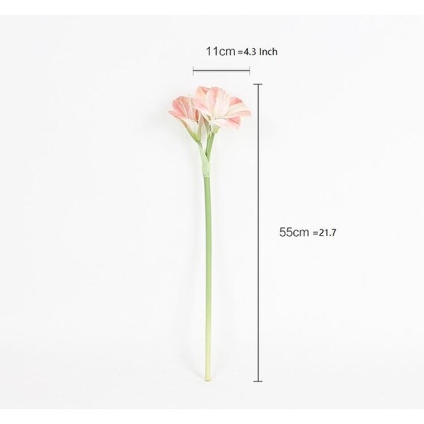 FloralGoods Clivia Orchid Stem 22" Tall