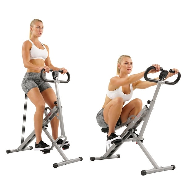Sunny Health Fitness Squat Assist Row-N-Ride Trainer