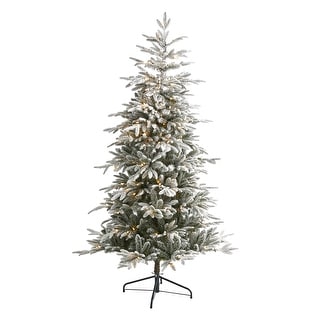 6.5' Flocked Manchester Spruce Christmas Tree with 300 Lights - Green
