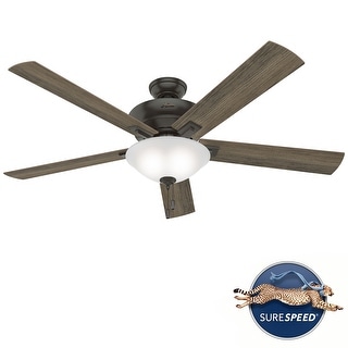 Hunter 60" Hillsborough Ceiling Fan with LED Light Kit and Pull Chain - Exclusive!