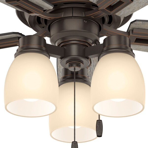 Hunter 44" Donegan Ceiling Fan with 3-Light LED Light Kit and Pull Chain