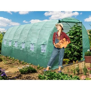 Heavy Duty 20'x10'x7' Greenhouses Large Walk-in Green House Tunnel - 10 X 20