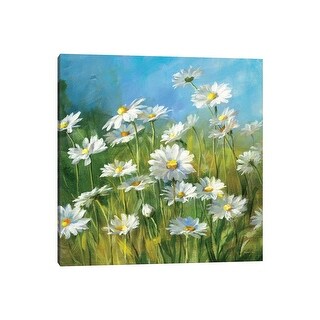 iCanvas "Summer Field II" by Danhui Nai Canvas Print