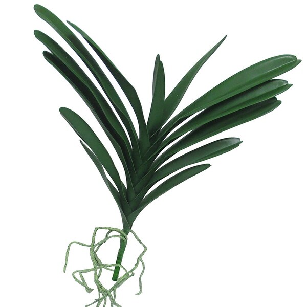 Set of 2 Artificial Vanda Orchid Leaf Stem Tropical Plant Greenery Foliage Spray Branch 17in - 17" L x 18" W x 2" DP