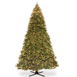 16 ft. Downswept Douglas Fir Tree with Dual Color LED Lights